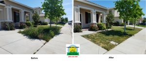 Before and After Yard weed cleanup Tracy Ca