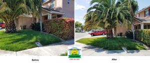 Before and After Lawn Mow Tracy Ca