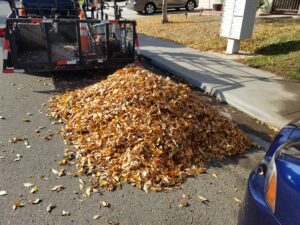 Leaf cleanup