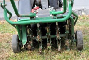 Plug aerator