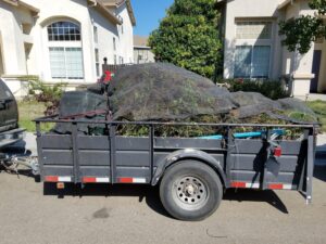 Rubbish and Junk Removal - Lawn and Yard Solutions