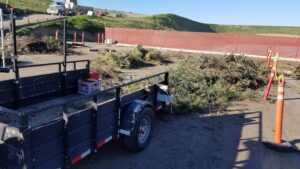 Rubbish and Junk Removal - Lawn and Yard Solutions