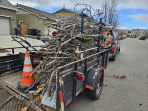 Rubbish and Junk Removal - Lawn and Yard Solutions