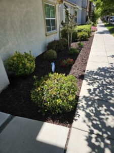 Mulch and Bark Installed