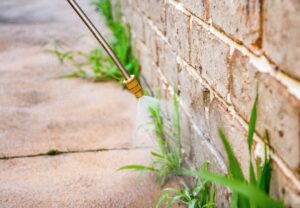 Weed spraying sidewalk and driveway cracks