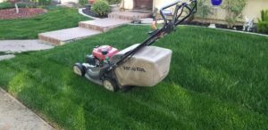 Lawn mower on a lush green lawn in a residential yard with steps and garden decor.
