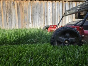 Mowing grass on overgrown Bi-weekly cut lawn