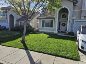 Well maintained lawn