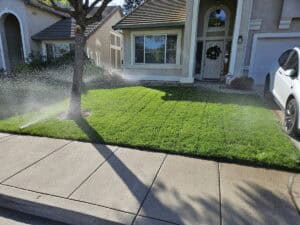Making sure lawn is watering properly and